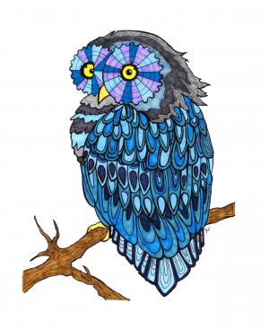 owl eyes